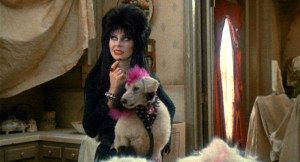 ... the ever so entertaining and delightful Elvira, Mistress of the Dark