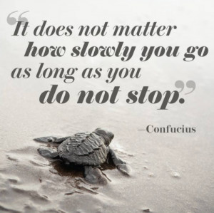 ... not matter how slowly you go, as long as you do not stop!” Quote