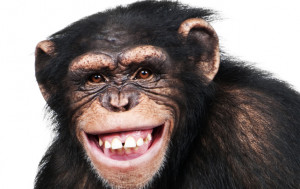 Related Pictures respect fellow humans picture quotes image sayings