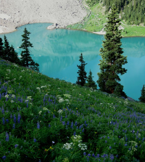 ... to try and understand the serenity of a clear blue mountain lake