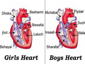 Boy vs Girls heart.....