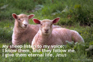 ... being exploited jesus tenderly shepherds you no matter where you are