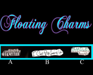 Love Quote Floating Charms