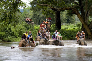 Elephant Ride & Bamboo Rafting Tour