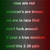 Mexican Pride Quotes