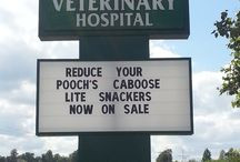 MCVH Sign sayings/ideas / by Macon County Veterinary Hospital
