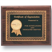 Plaques > Engraved Award Plaques > Appreciation Plaque W/Medallion