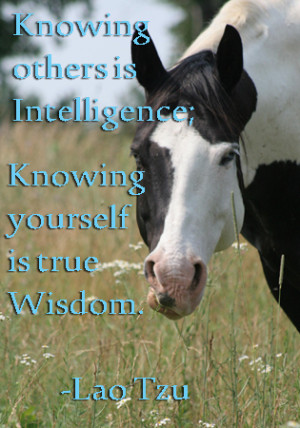 Knowing others is intelligence; knowing yourself is true wisdom ...