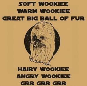 Soft Wookie (Big Bang Theory/Star Wars).
