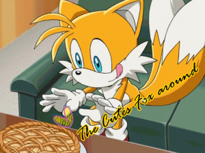 Random Tails the fox The cutes fox aronud