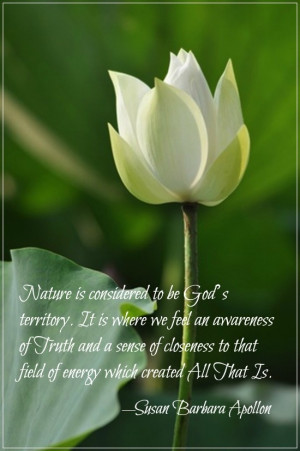 Nature is considered to be God’s territory. It is where we feel an ...