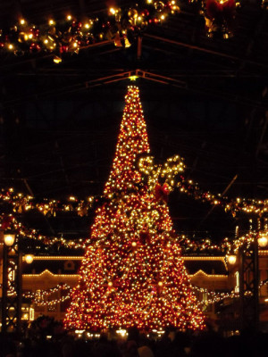 Christmas Tree at Tokyo Disneyland
