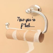 TOILET SEAT sticker funny bathroom wall art decal quote vinyl novelty ...