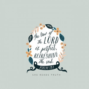 Young Wife's Guide - Gospel Centered Homemaking