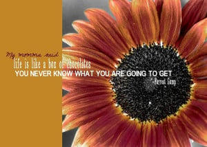 Sunflower Quote Photograph