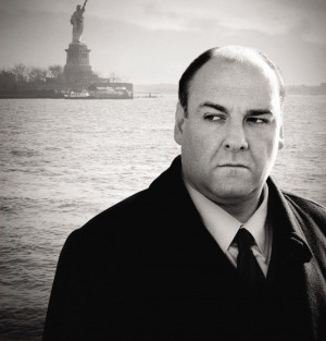 Stan Lee Confirms Cameo In Avengers: Age Of Ultron, Wants Batman Vs ...