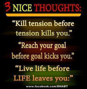 Found on botanicalexotique.com