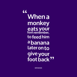Quotes Picture: when a monkey eats your foot remember, to feed him a ...