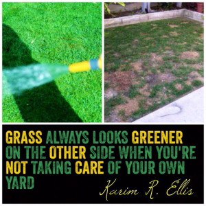 The grass will always look greener in other people’s yards when you ...