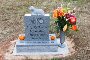 Designing Your Baby's Headstone - Some Ideas & Inspiration