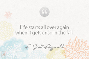 scott fitzgerald quotes source http blog honest com tag fitzgerald ...