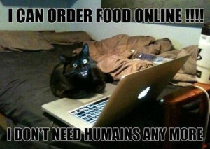 online cat meme share this funny cat meme on facebook