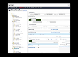 Quote & Order Capture