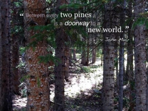 john muir wilderness quotes
