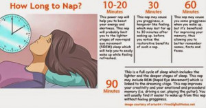 What Happens To Your Body When You Nap