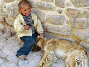 Little Boy and Dog