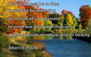 15921d1363075089-20-most-popular-quotes-albert-einstein-most-famous ...