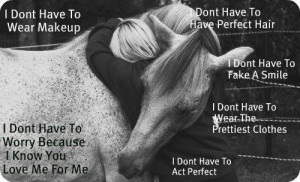 I Love My Horse Quotes