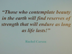 INSPIRATIONAL PHOTO – Beauty, Rachel Carson