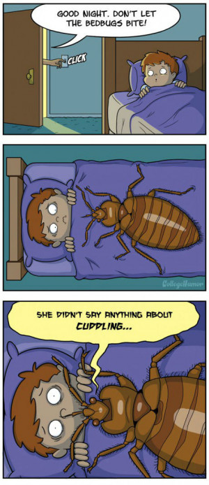 Don’t let the bedbugs bite! – (comic)