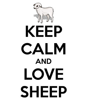 KEEP CALM AND LOVE SHEEP