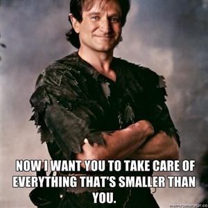 Quotes #9 Robin Williams