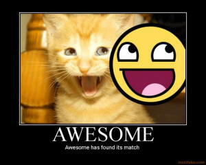 awesome-cat-awesome-demotivational-poster