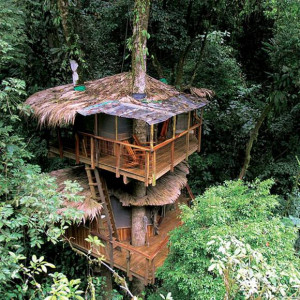 fairytale tree houses03 Beautiful And Unique Tree Houses