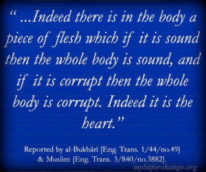 TAZKIYA (PURIFICATION OF THE SOUL) - QUOTES, ARTICLES AND ANECDOTES