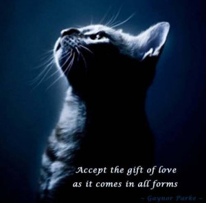 1392728_472729366177195_853560868_n