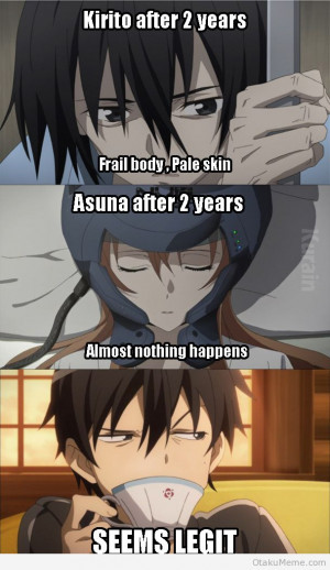 SAO Meme of the Week: Seems Legit