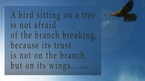 Related Best Quotes Bird Sitting Tree Never Afraid