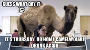 Its Thursday Hump Day Camel quotes quote days of the week thursday ...