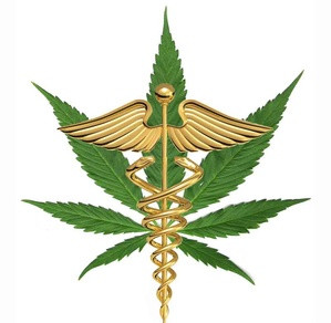 MAINE COMPASS: Medical marijuana program faces uncertainty from new ...