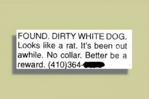 Unintentionally Funny Newspaper Headlines