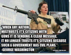 gun-control-george-washington-quote-such-a-government-has-evil-plans