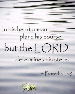 Let God determine your steps