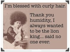 Hair stylist quotes | Funny Hair Quotes Funny quotes about curly hair