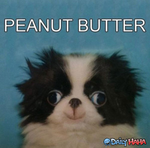 Peanut_Butter_funny_picture