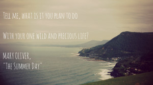 Bald Hill Lookout, NSW, Australia